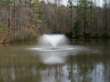 Lake Fountain