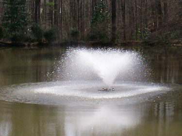 Spray Fountain