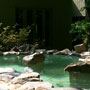 Converted Swimming Pool into Fish Pond