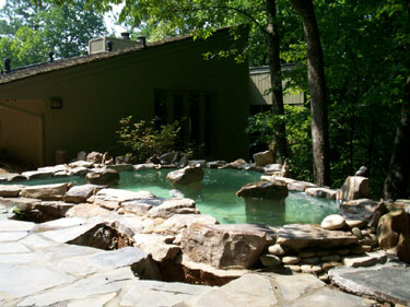Converted Swimming Pool into Fish Pond