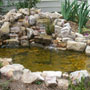 Small Backyard Waterscape