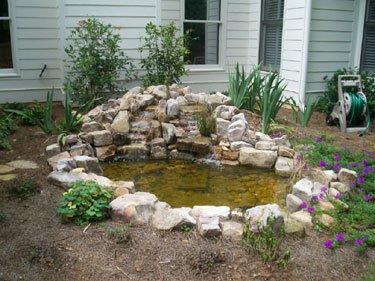 Small Backyard Waterscape